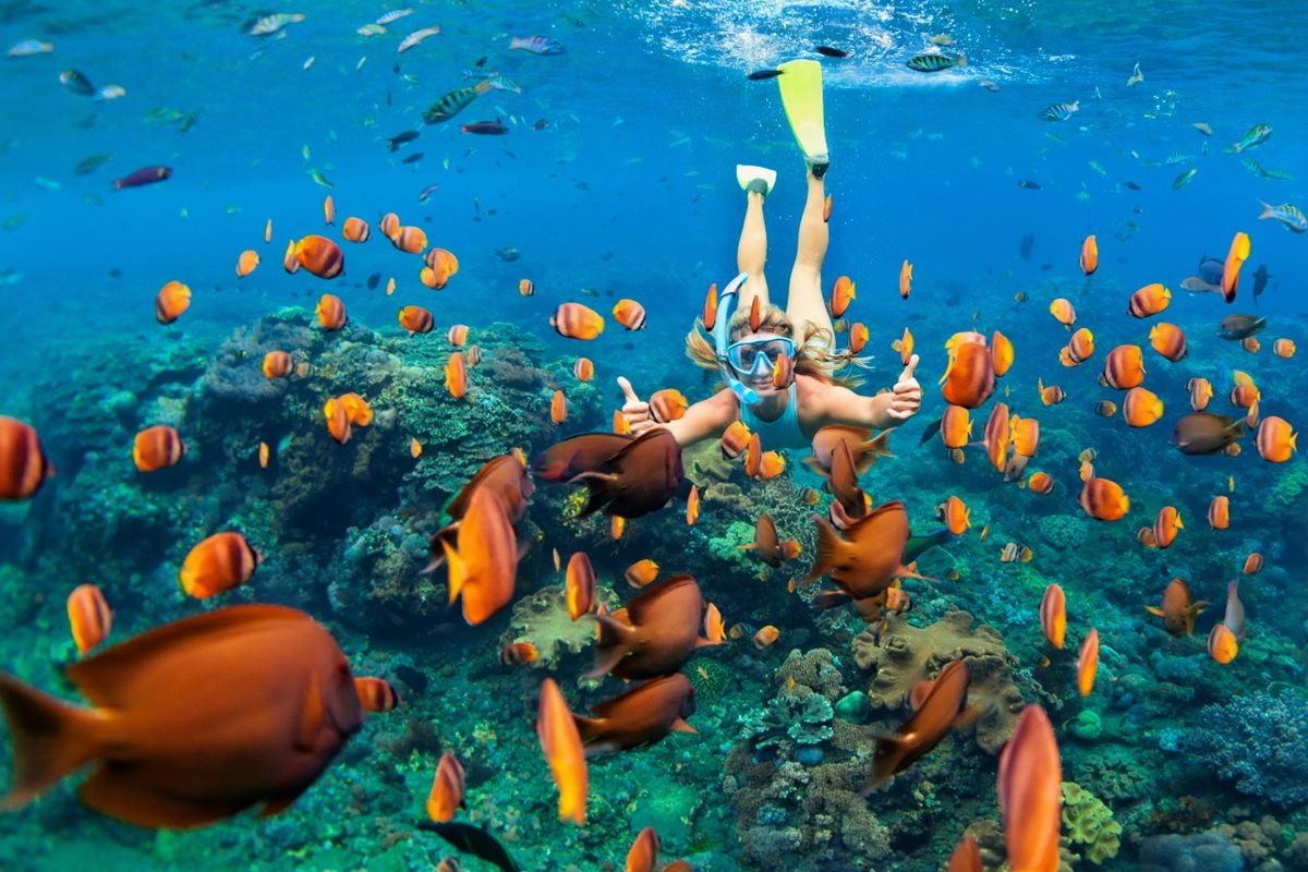 Potápanie na Maledivách