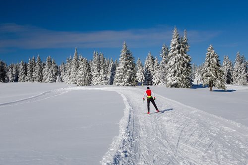 Rogla, Slovinsko