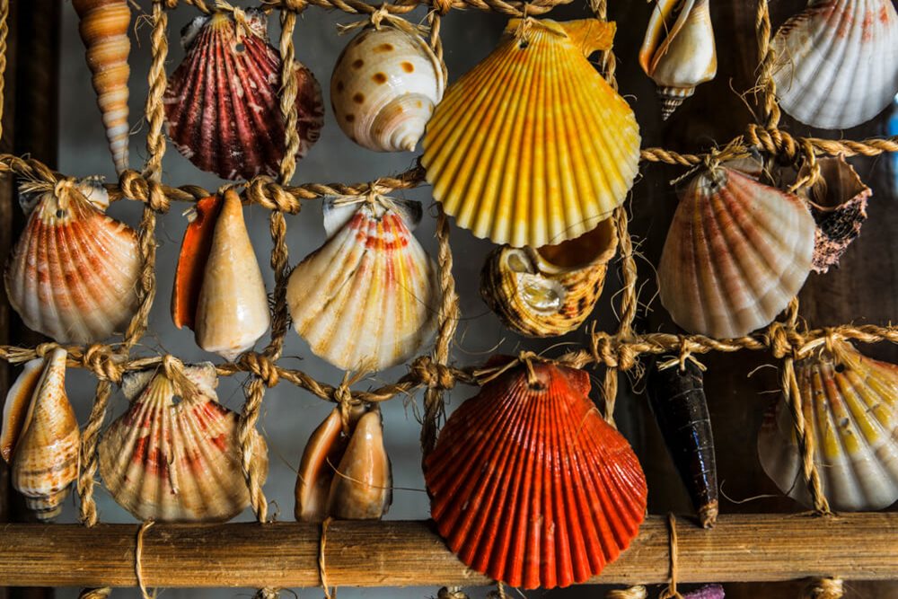 Mušle zavesené na rybárskej sieti v Lefkade