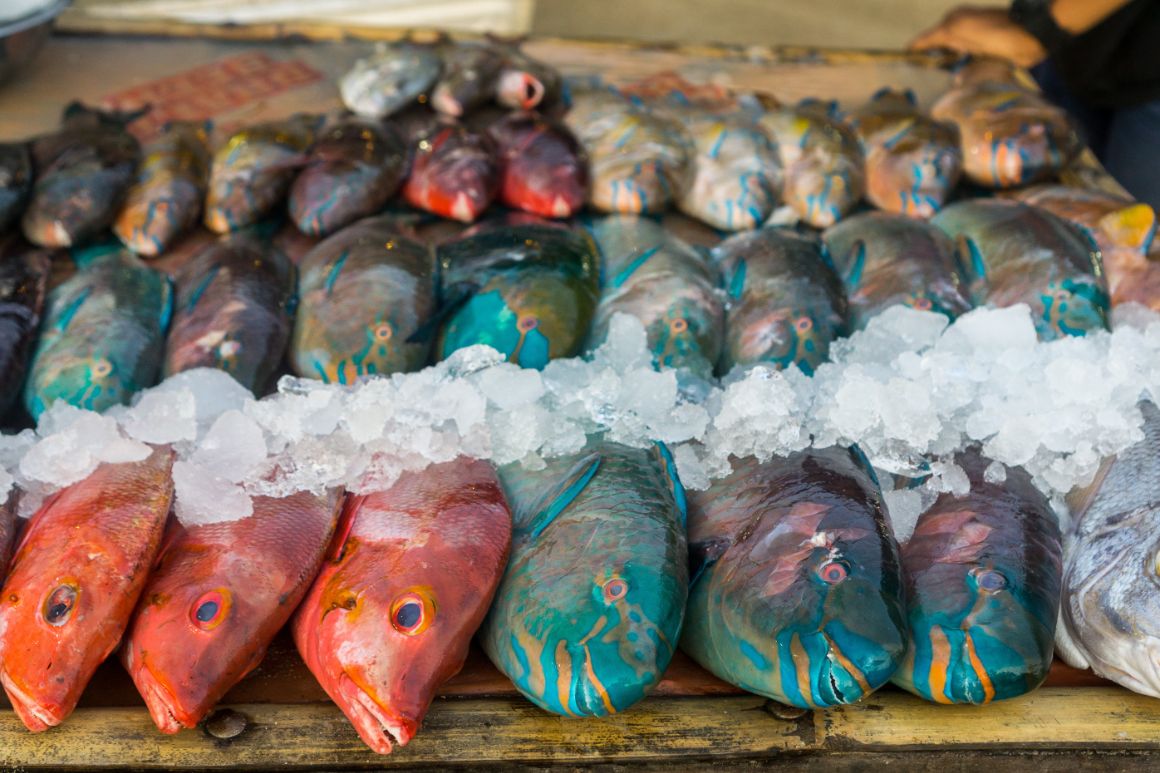 Ryby na trhu v Port Louis, Maurícius