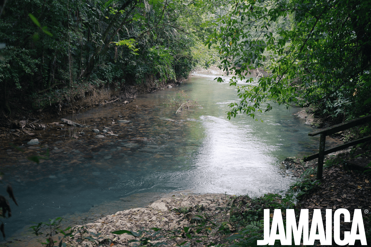 Montego Bay na Jamajke