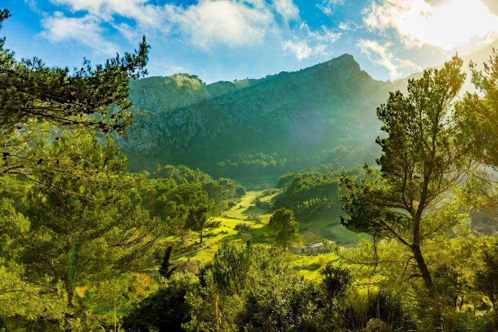 Serra de Tramuntana