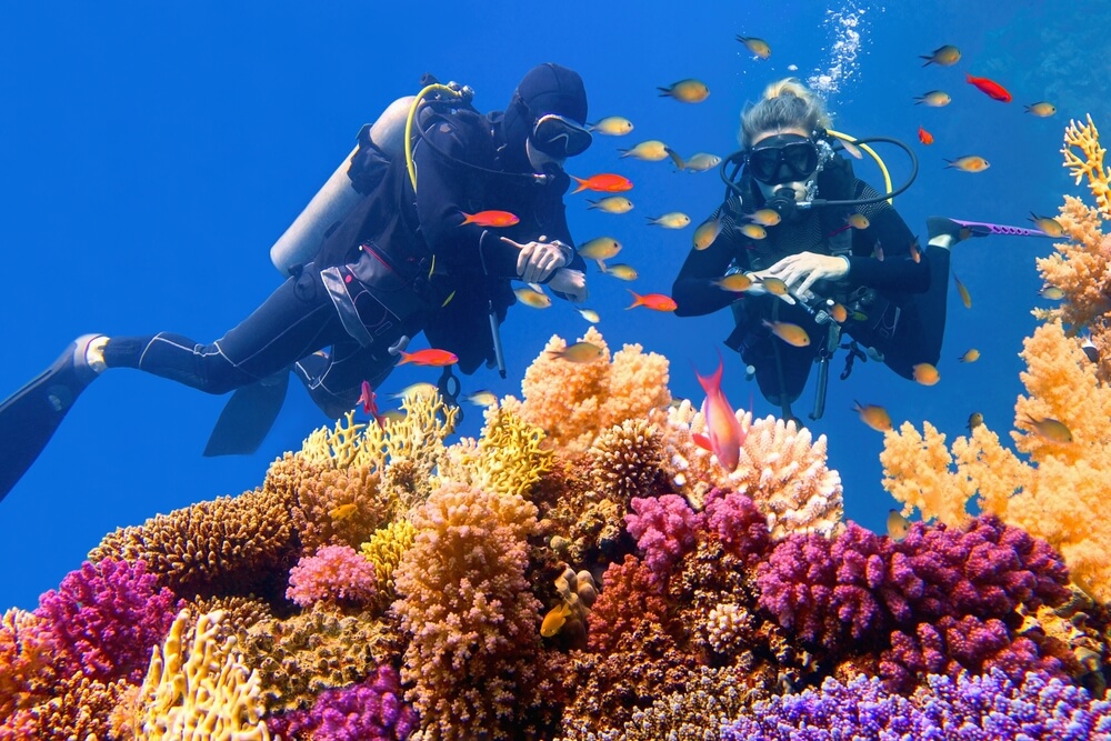 Potápanie sa pri koraloch, Marsa Alam Potápanie sa pri koraloch, Marsa Alam