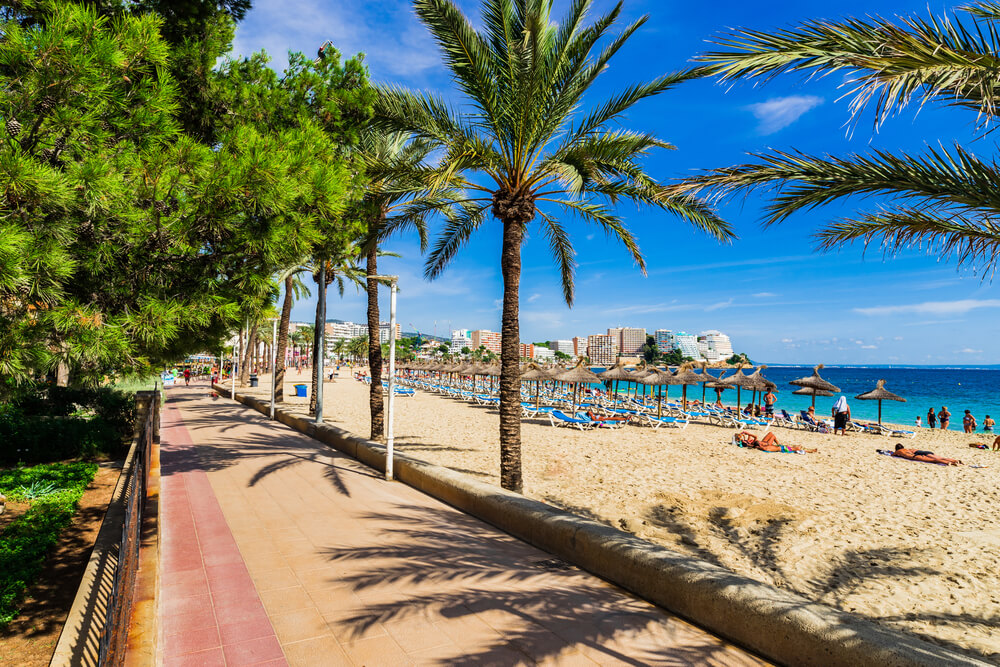 Palmy na Mallorce