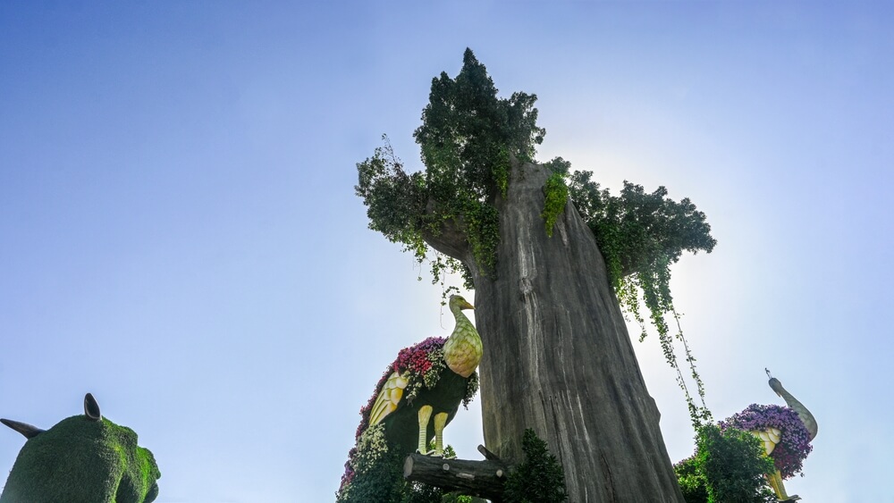 Studio Central, Dubaj