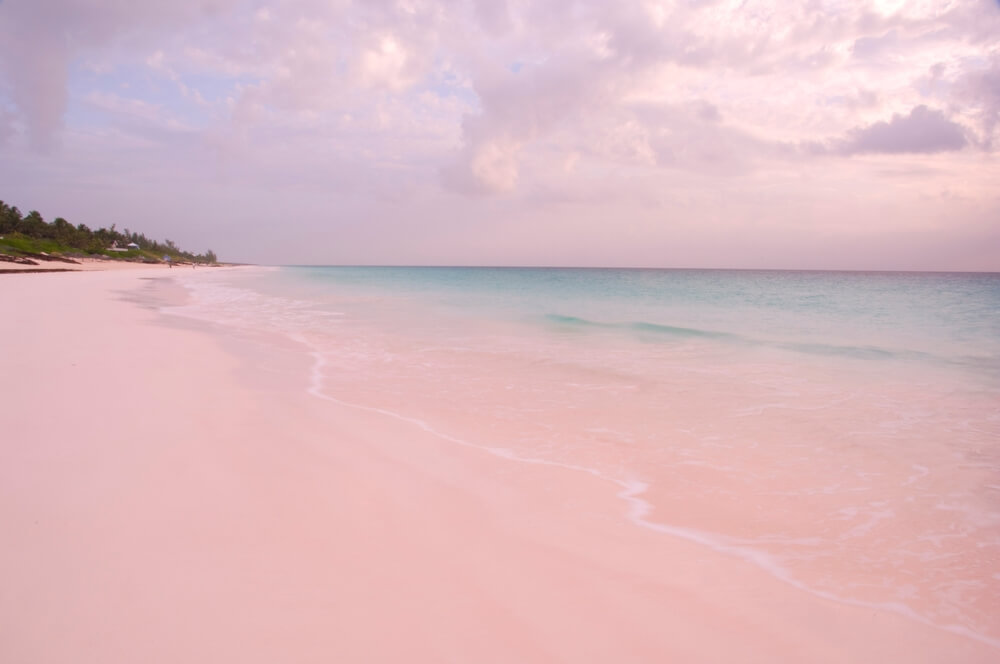 Pink Sand Beach, Bahamy Pink Sand Beach, Bahamy