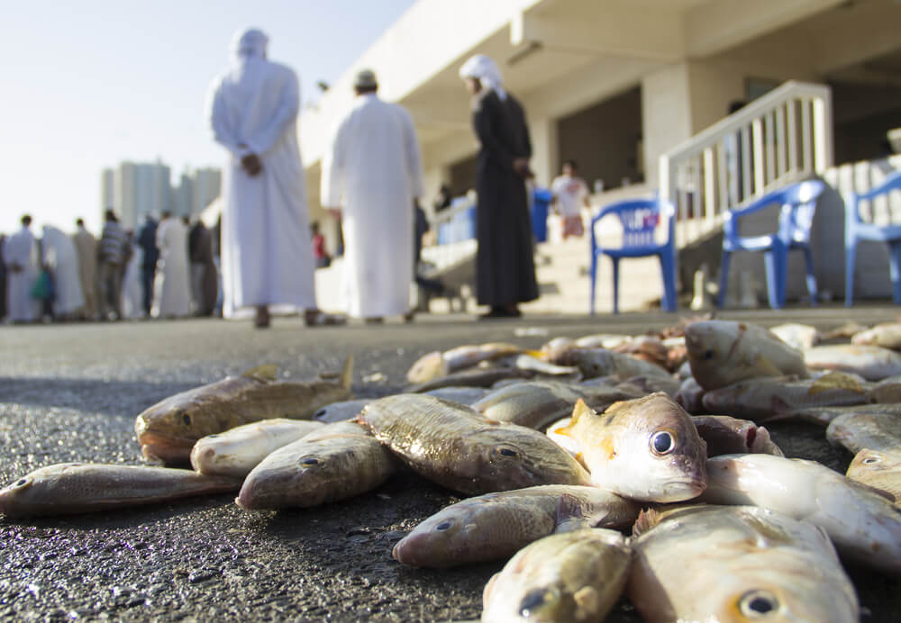 ajman_fish_market