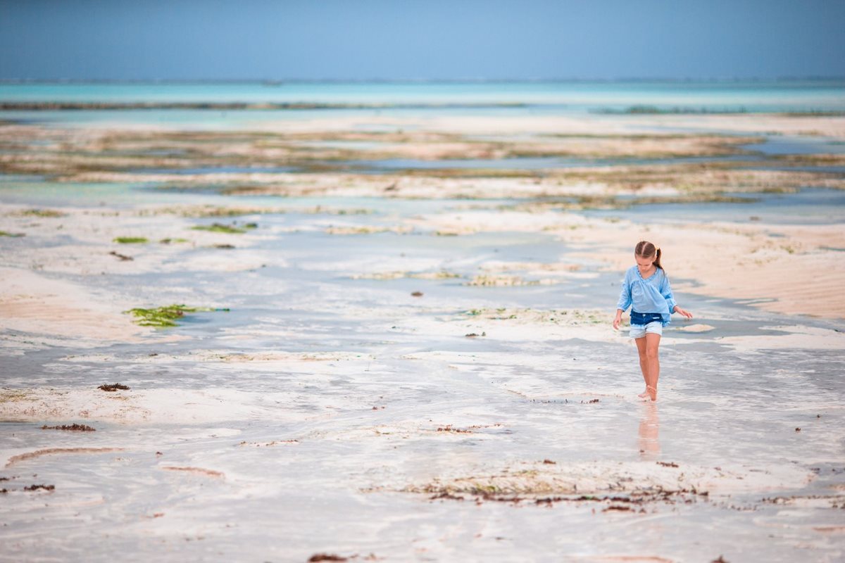 Odliv na Zanzibare