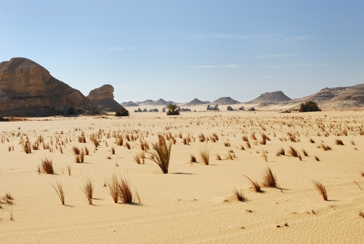 Západná Sahara v Egypte