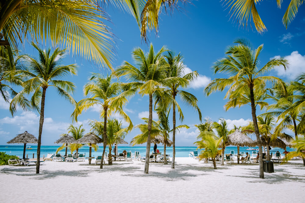 Palm Beach, Aruba Palm Beach, Aruba