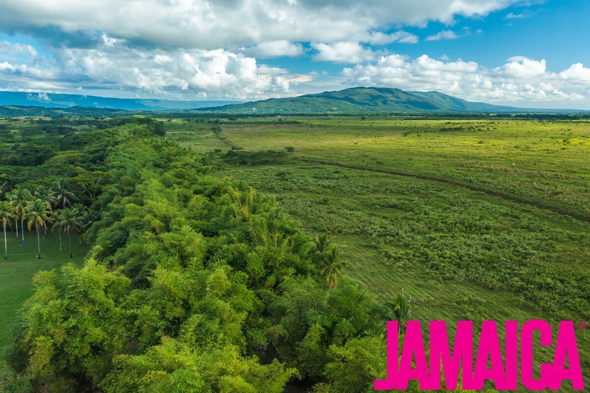 Príroda na Jamajke