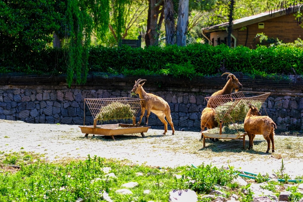 Park v Izmire, Turecko