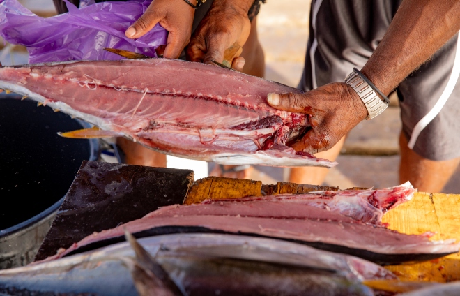 Ryby sa predávajú čerstvo ulovené ešte na móle, ostrov Sal